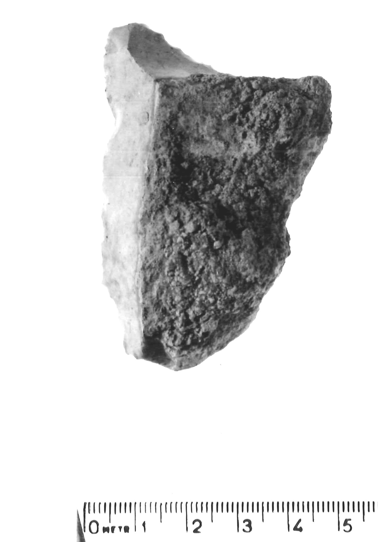 raschiatoio trasversale - musteriano (paleolitico medio)