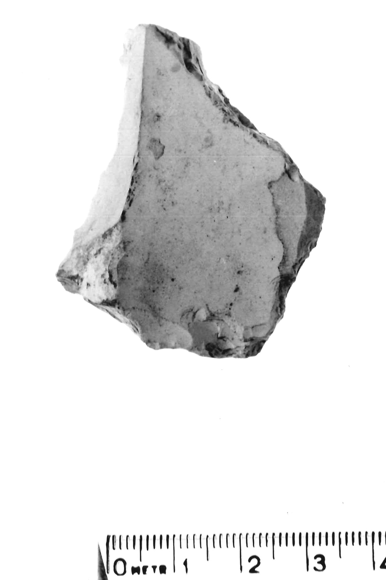 raschiatoio denticolato - musteriano (paleolitico medio)