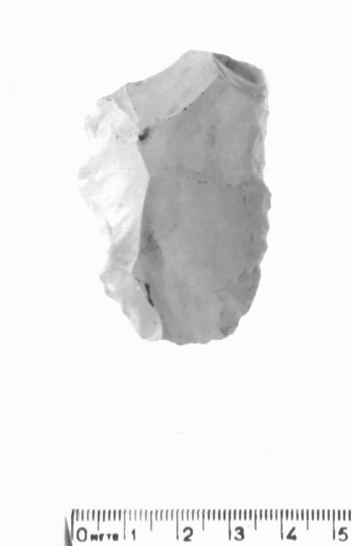 raschiatoio denticolato - musteriano (paleolitico medio)