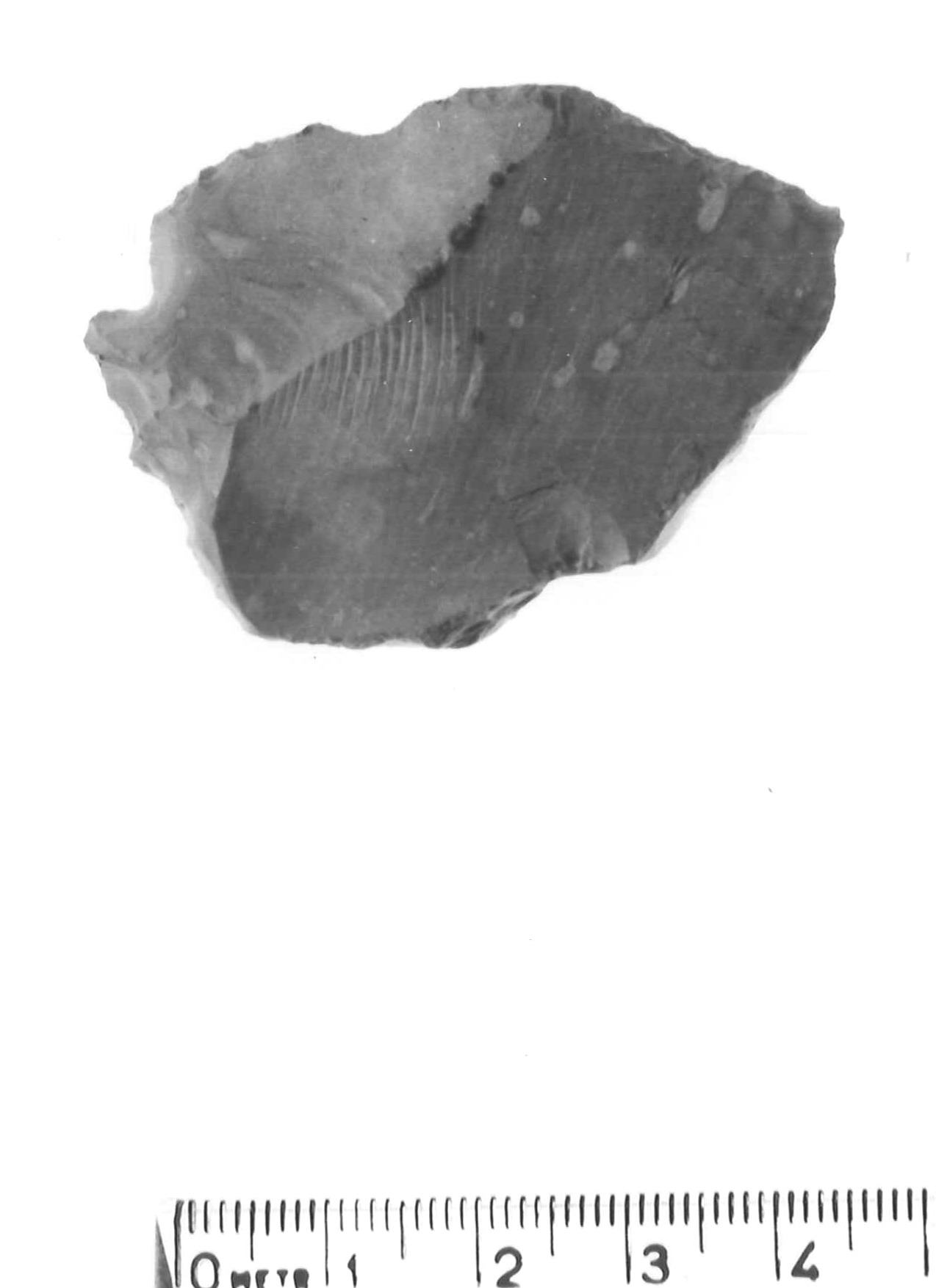 raschiatoio latero-trasversale - musteriano (paleolitico medio)