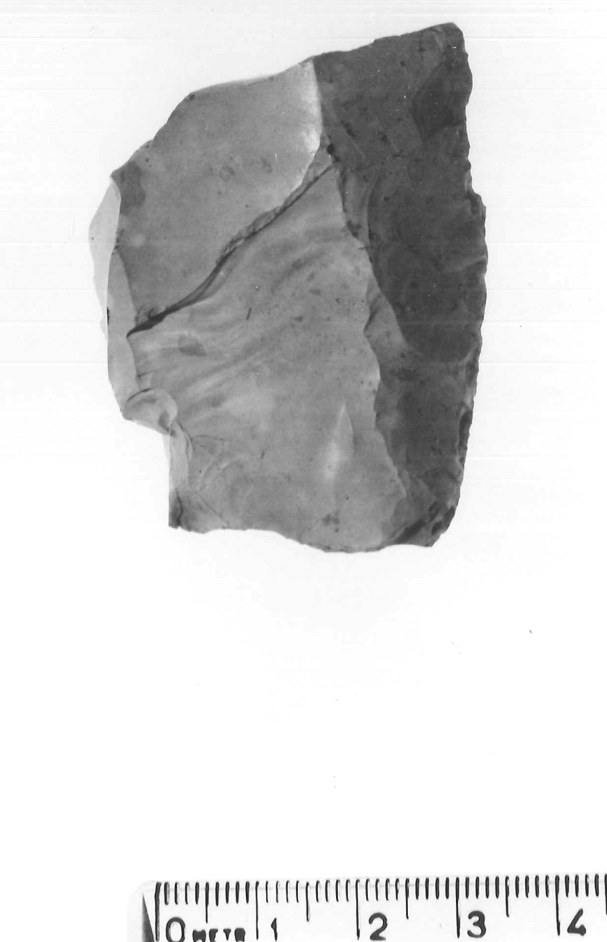 raschiatoio laterale - musteriano (paleolitico medio)