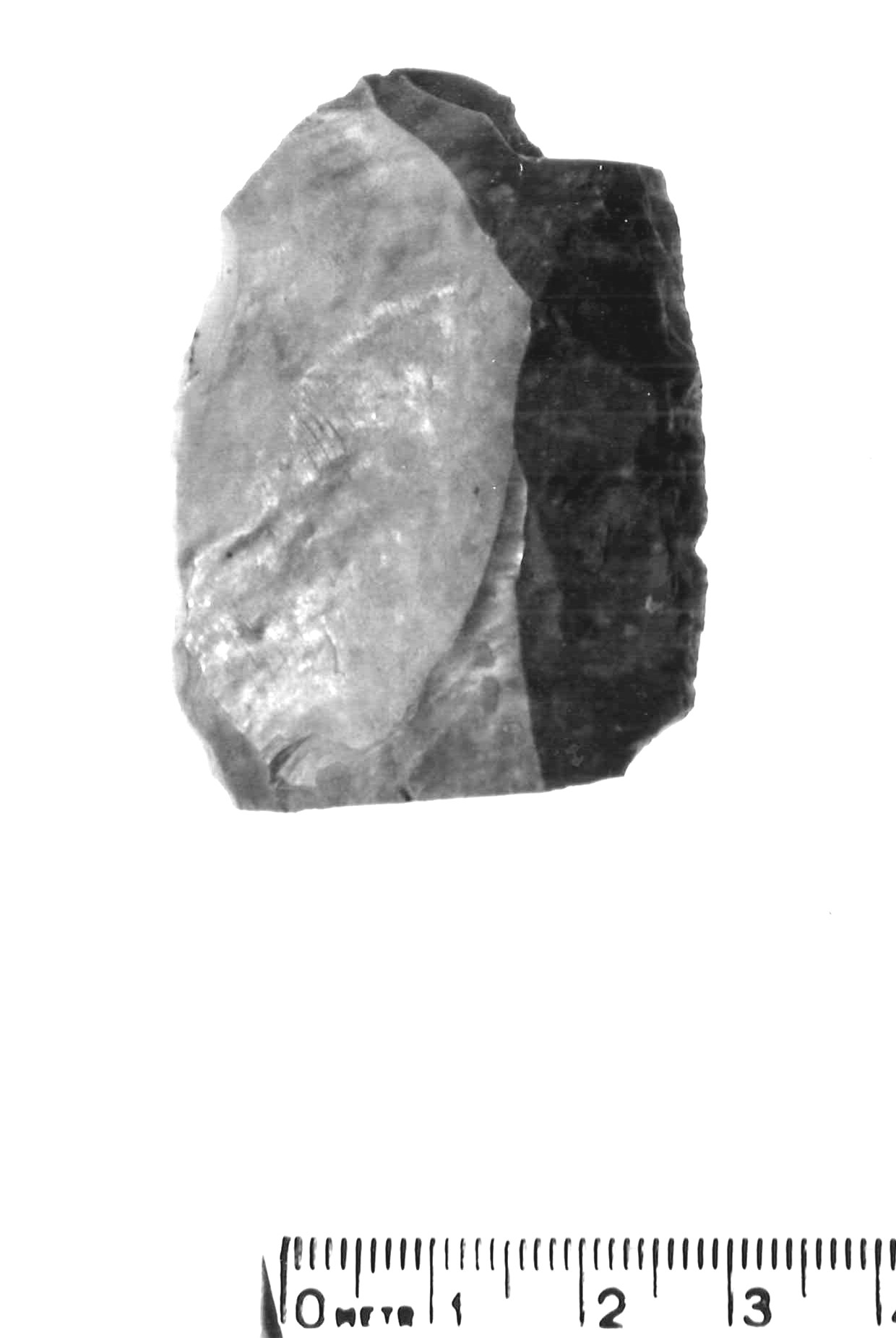 raschiatoio laterale - musteriano (paleolitico medio)