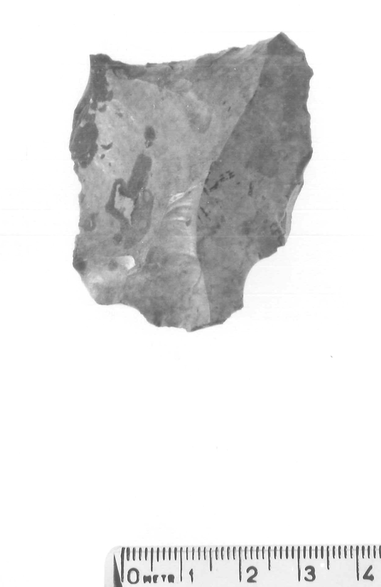 raschiatoio trasversale - musteriano (paleolitico medio)