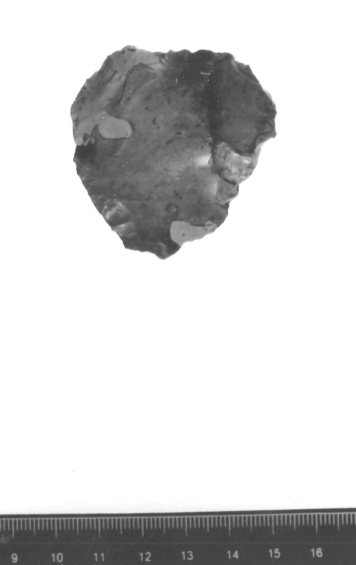 nucleo discoidale - musteriano (paleolitico medio)