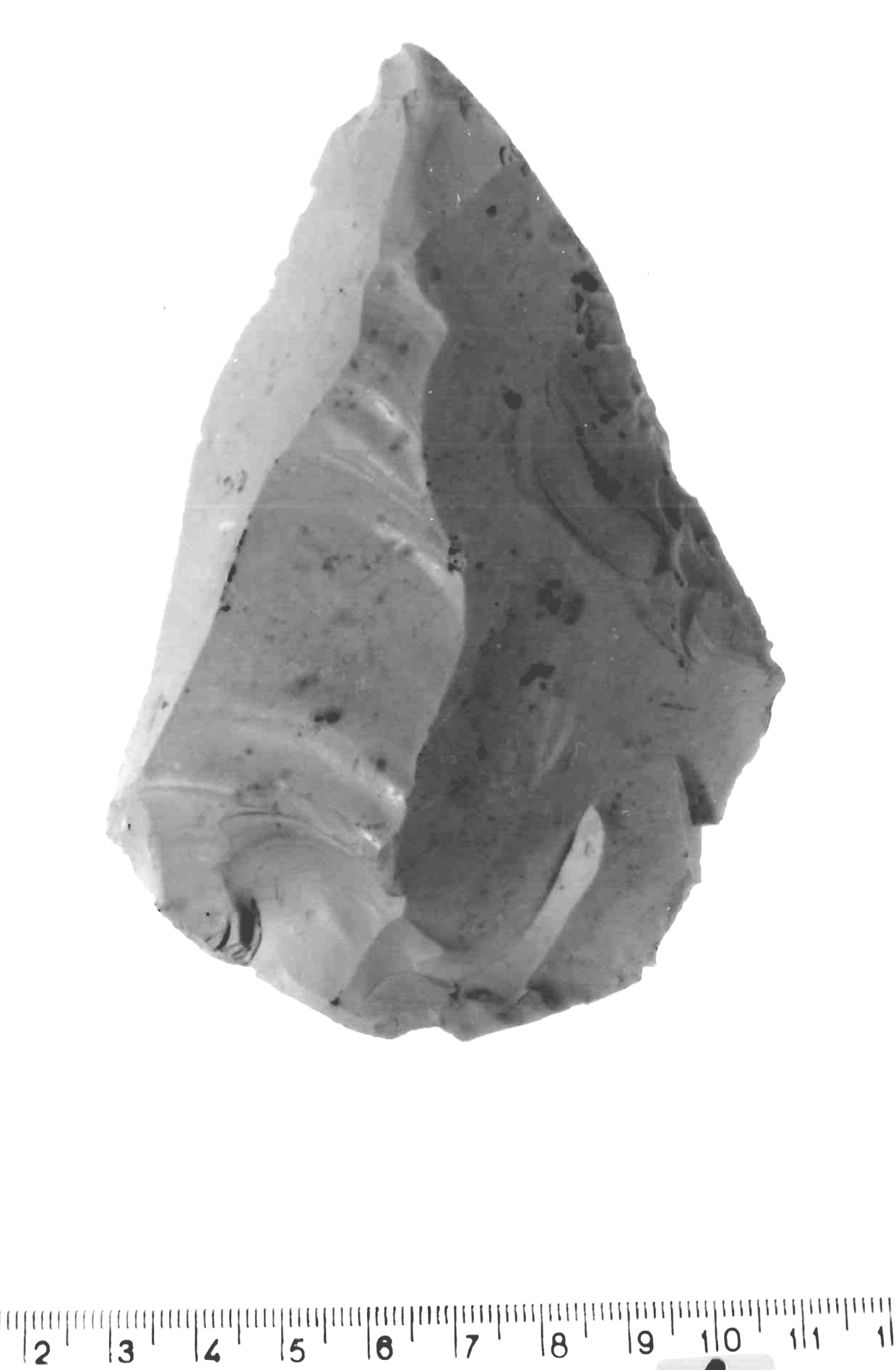 punta Levallois - musteriano (paleolitico medio)