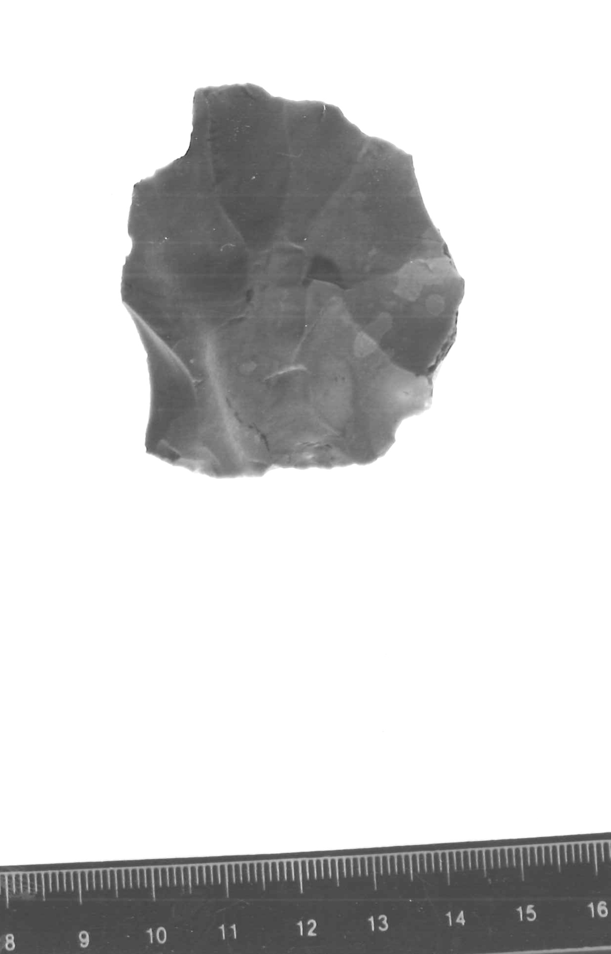 scheggia Levallois - musteriano (paleolitico medio)