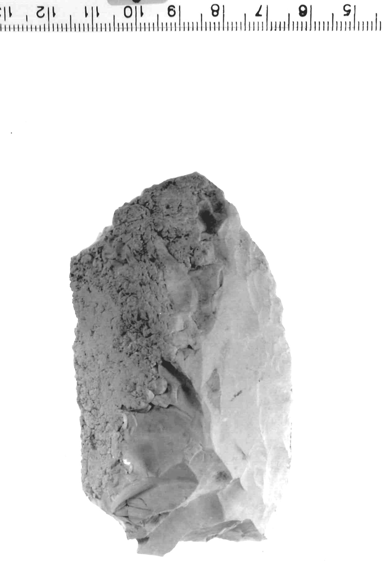 raschiatoio laterale - musteriano (paleolitico medio)