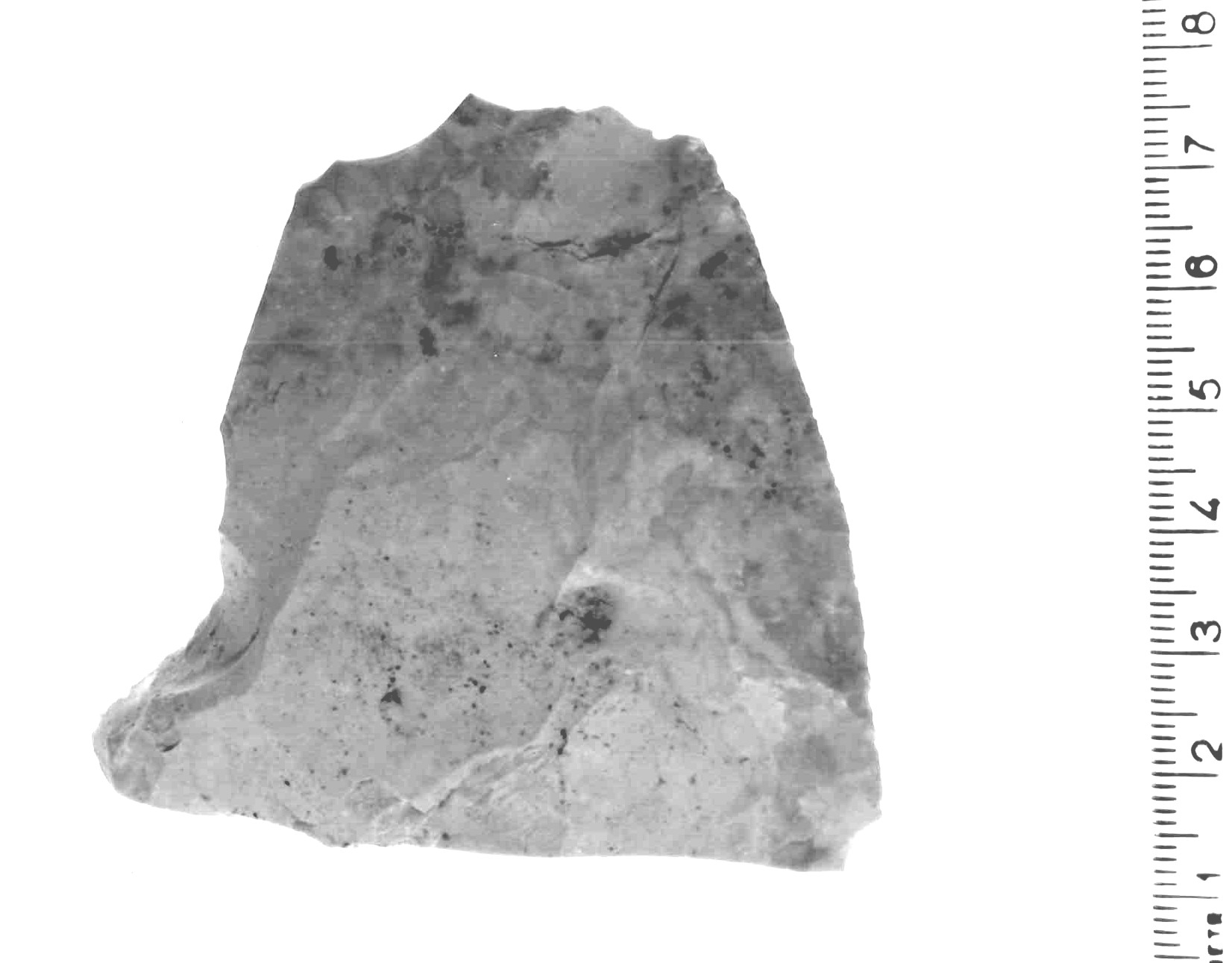 raschiatoio laterale - musteriano (paleolitico medio)