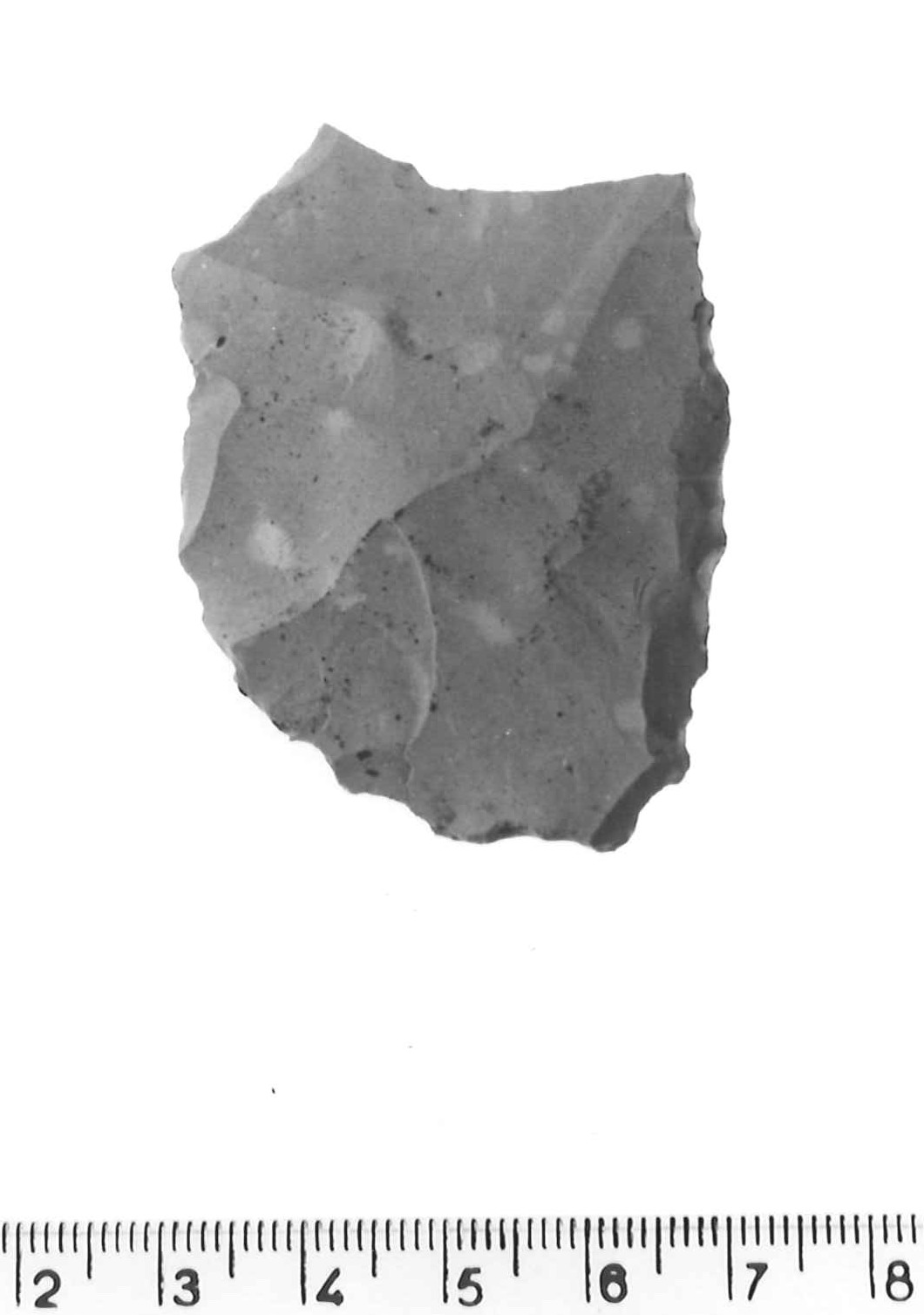 raschiatoio laterale - musteriano (paleolitico medio)