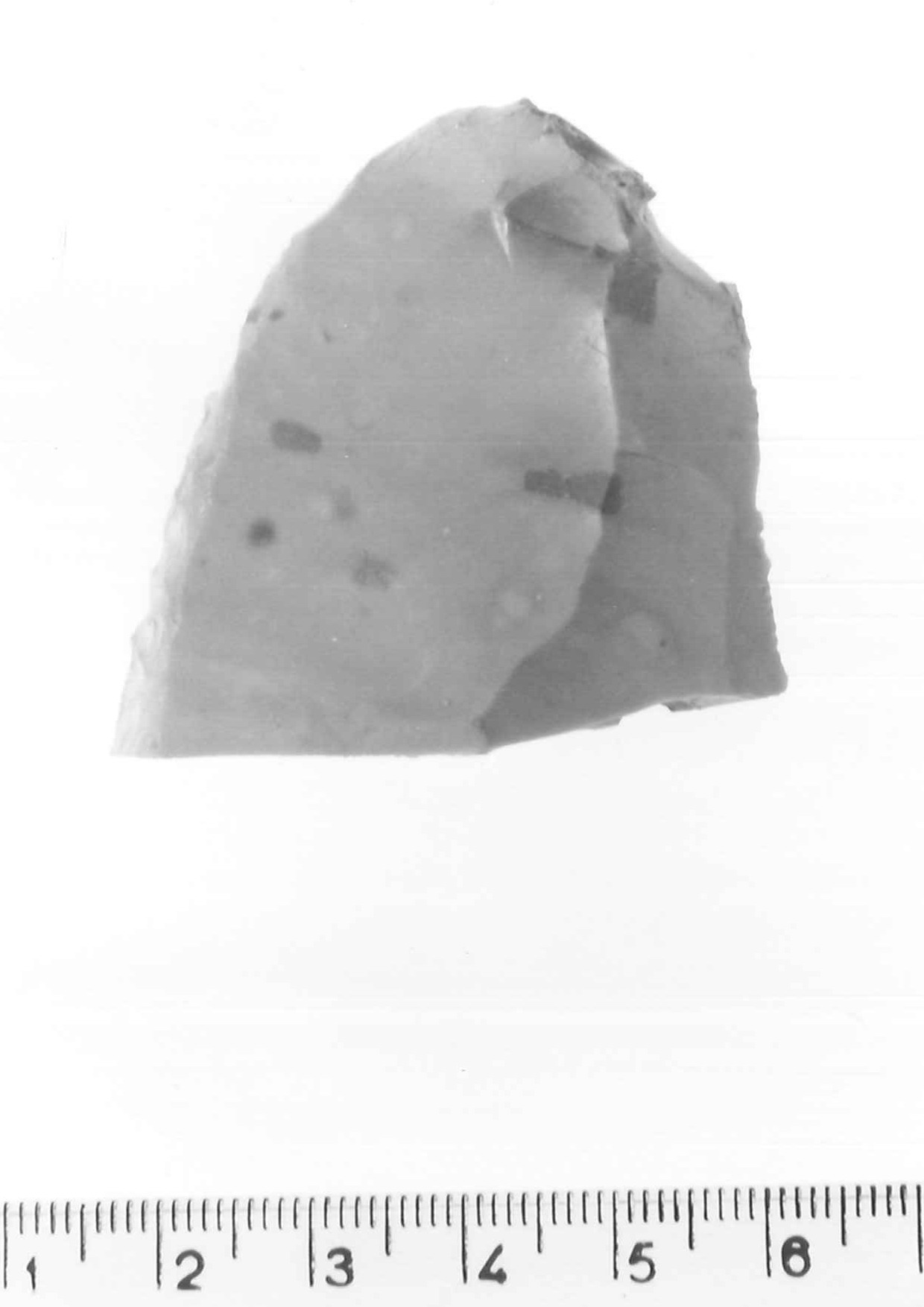 raschiatoio laterale - musteriano (paleolitico medio)