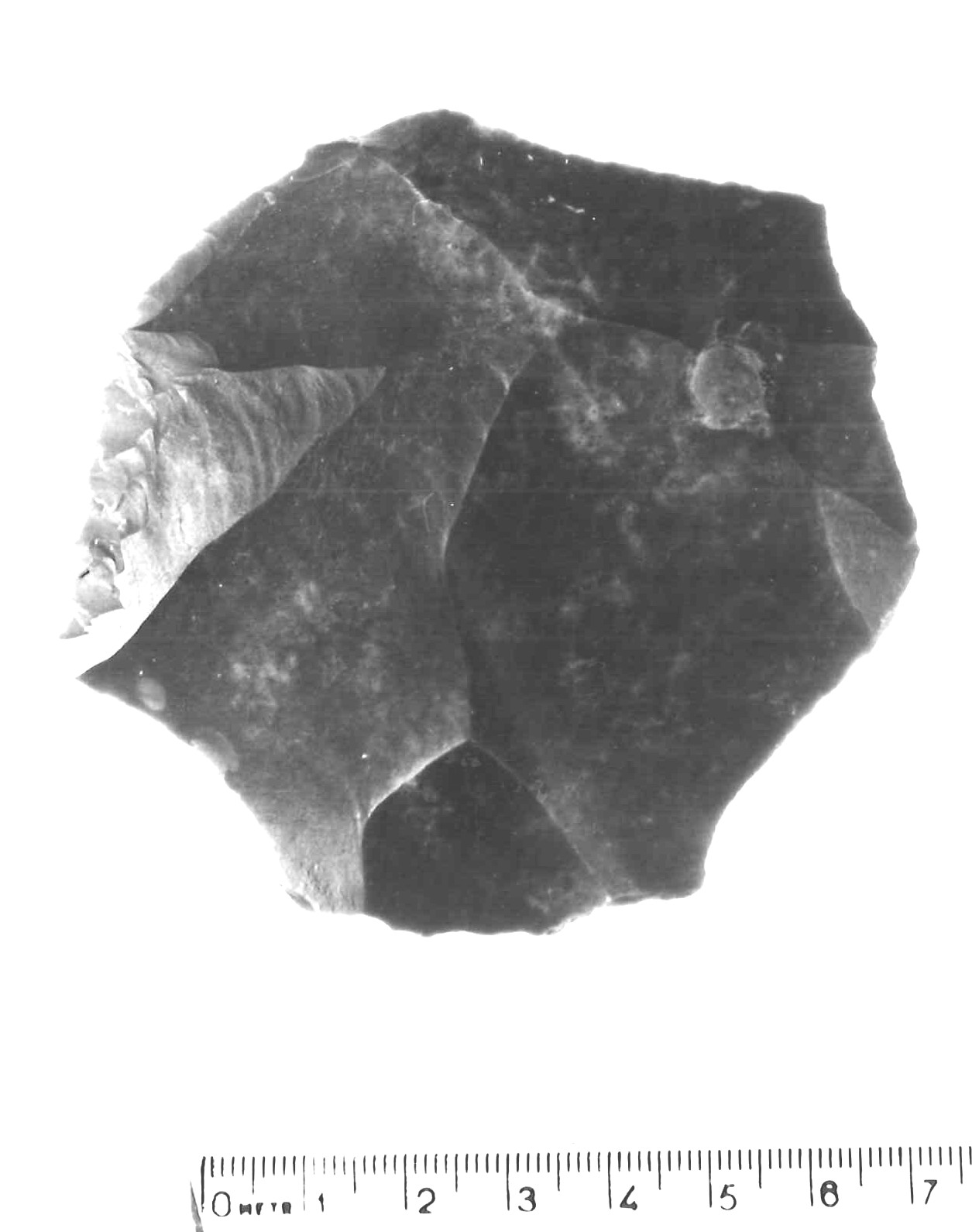 scheggia Levallois - musteriano (paleolitico medio)