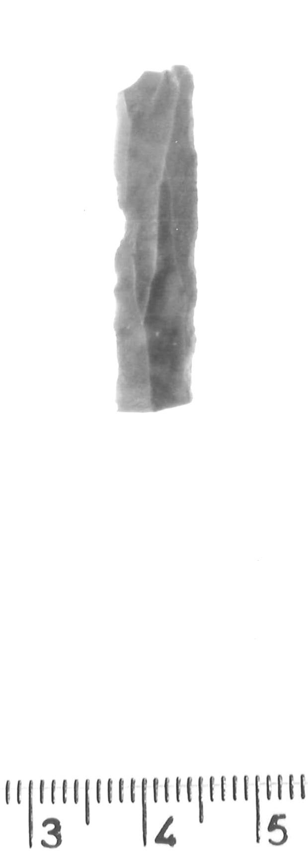 lama a dorso profondo - epigravettiano antico (paleolitico superiore)