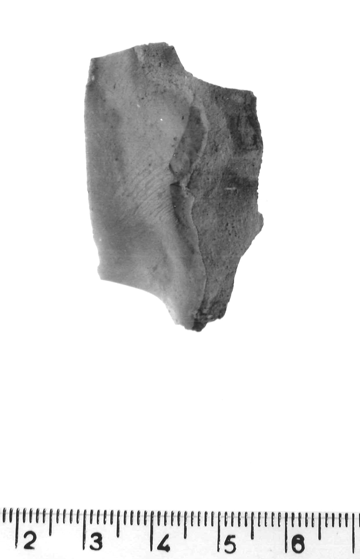 scheggia a ritocco erto profondo - epigravettiano antico (paleolitico superiore)