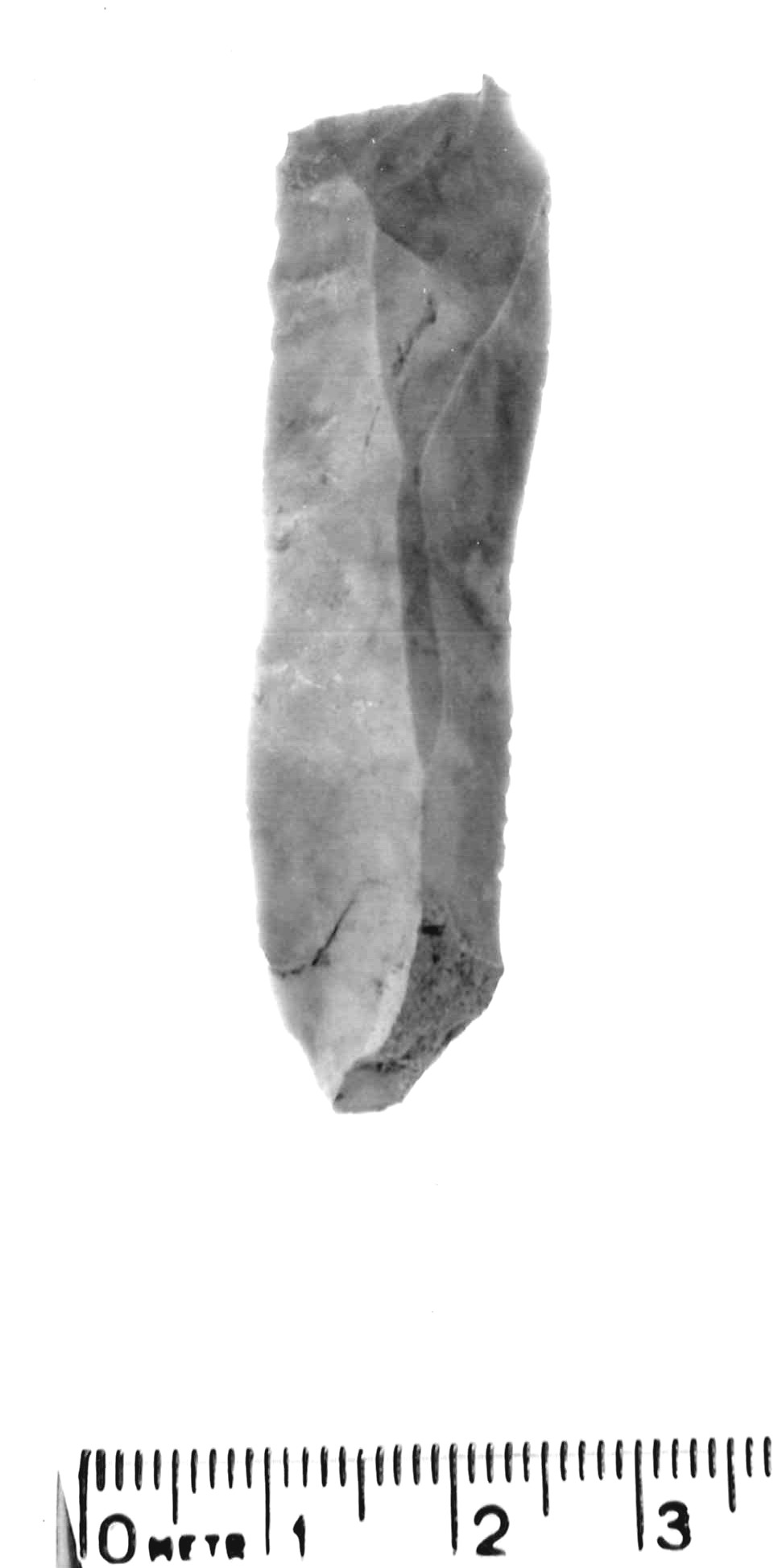 troncatura foliata - epigravettiano antico (paleolitico superiore)