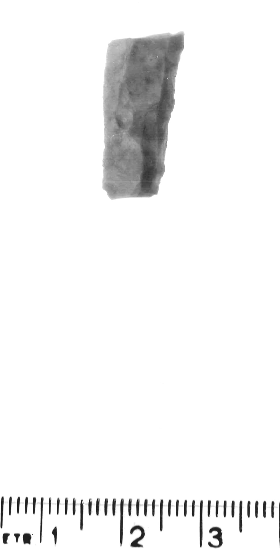 punta a dorso totale - epigravettiano antico (paleolitico superiore)