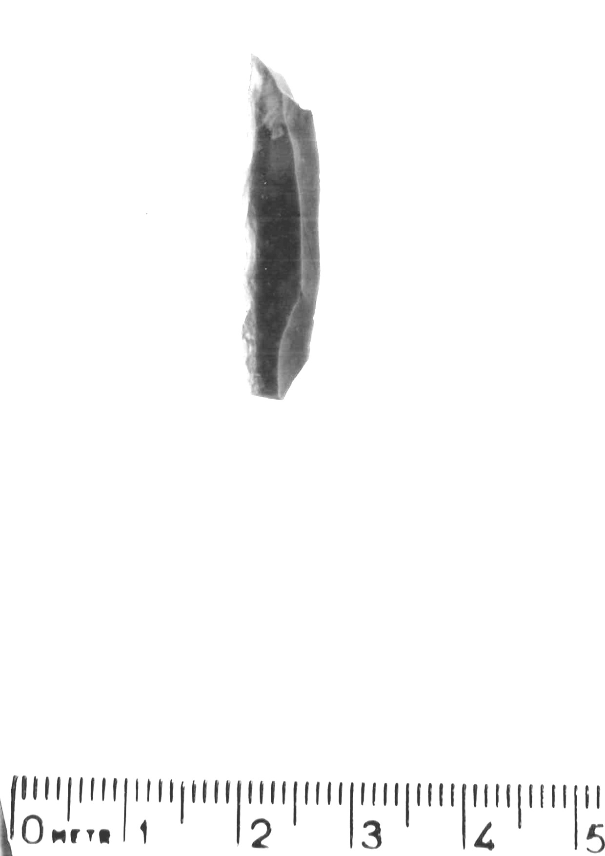 lama a dorso profondo - epigravettiano antico (paleolitico superiore)
