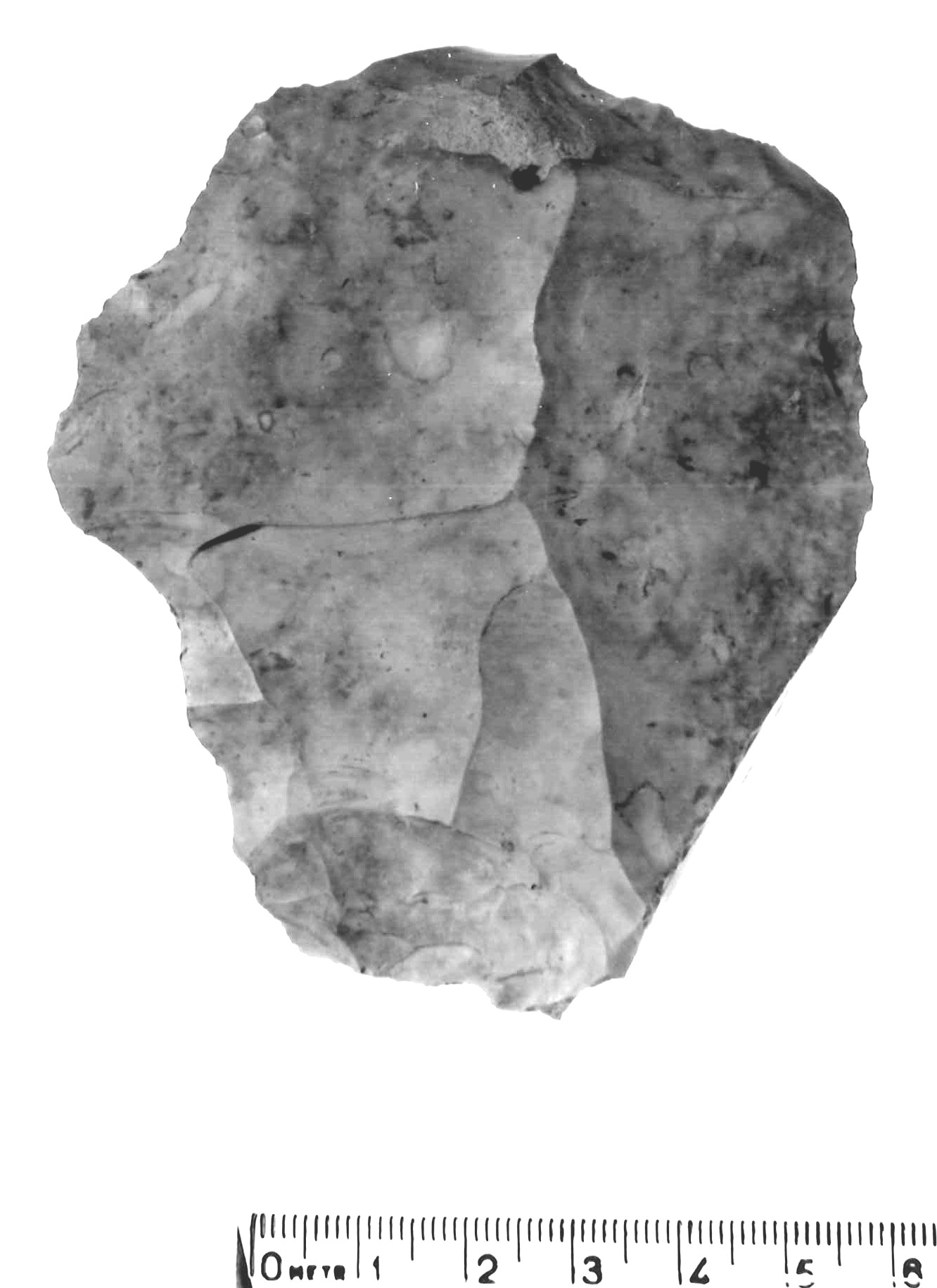 nucleo discoidale - epigravettiano antico (paleolitico superiore)