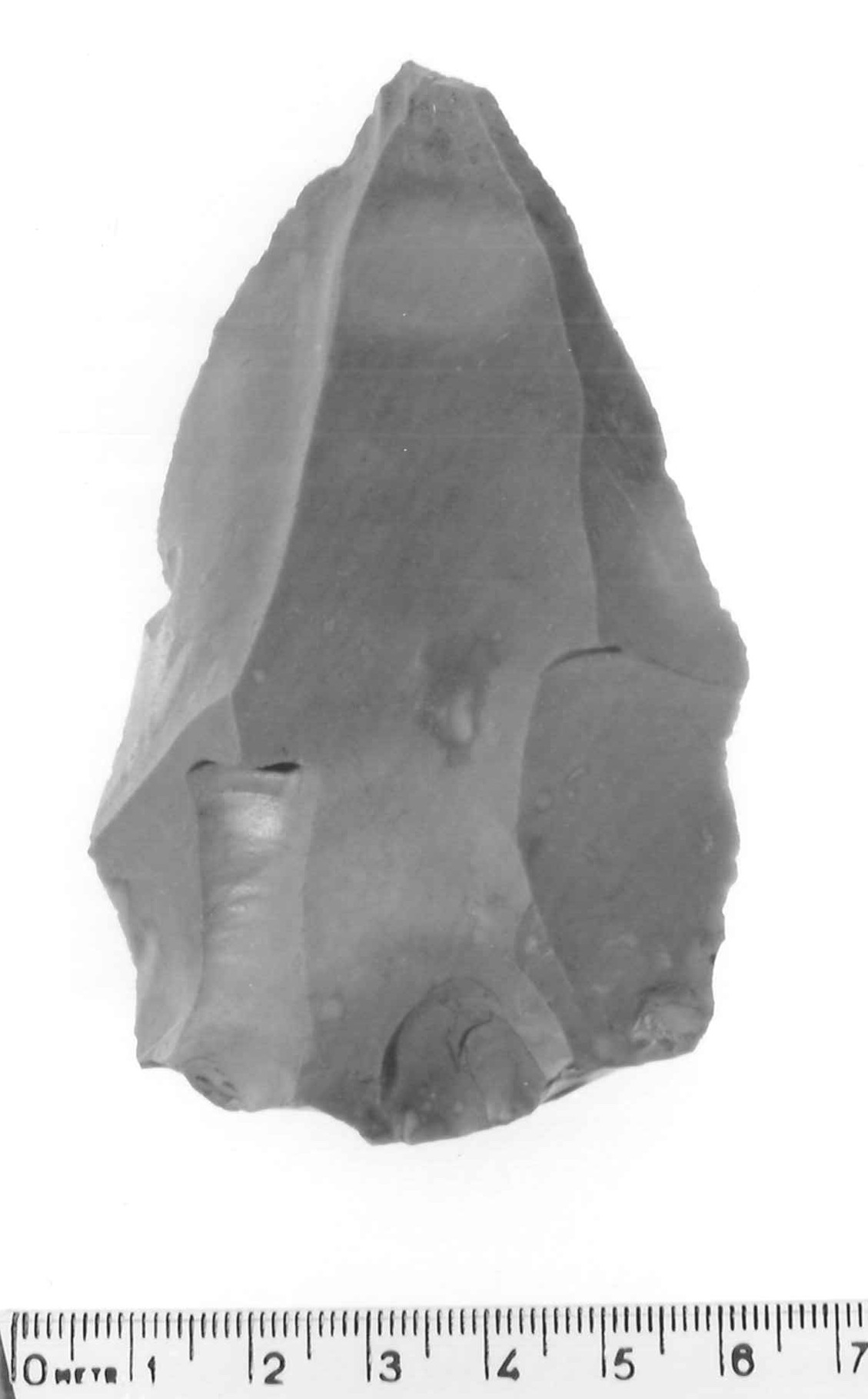 punta Levallois - musteriano (paleolitico medio)
