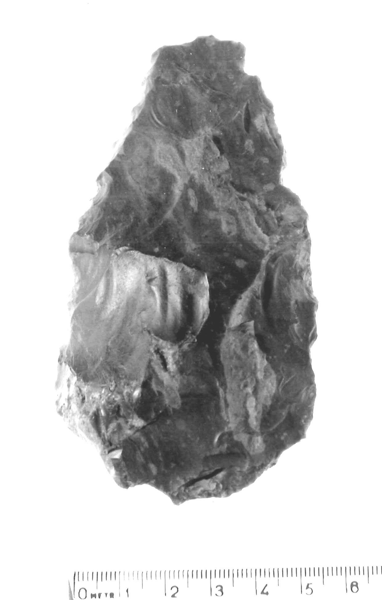 bifacciale (paleolitico inferiore)