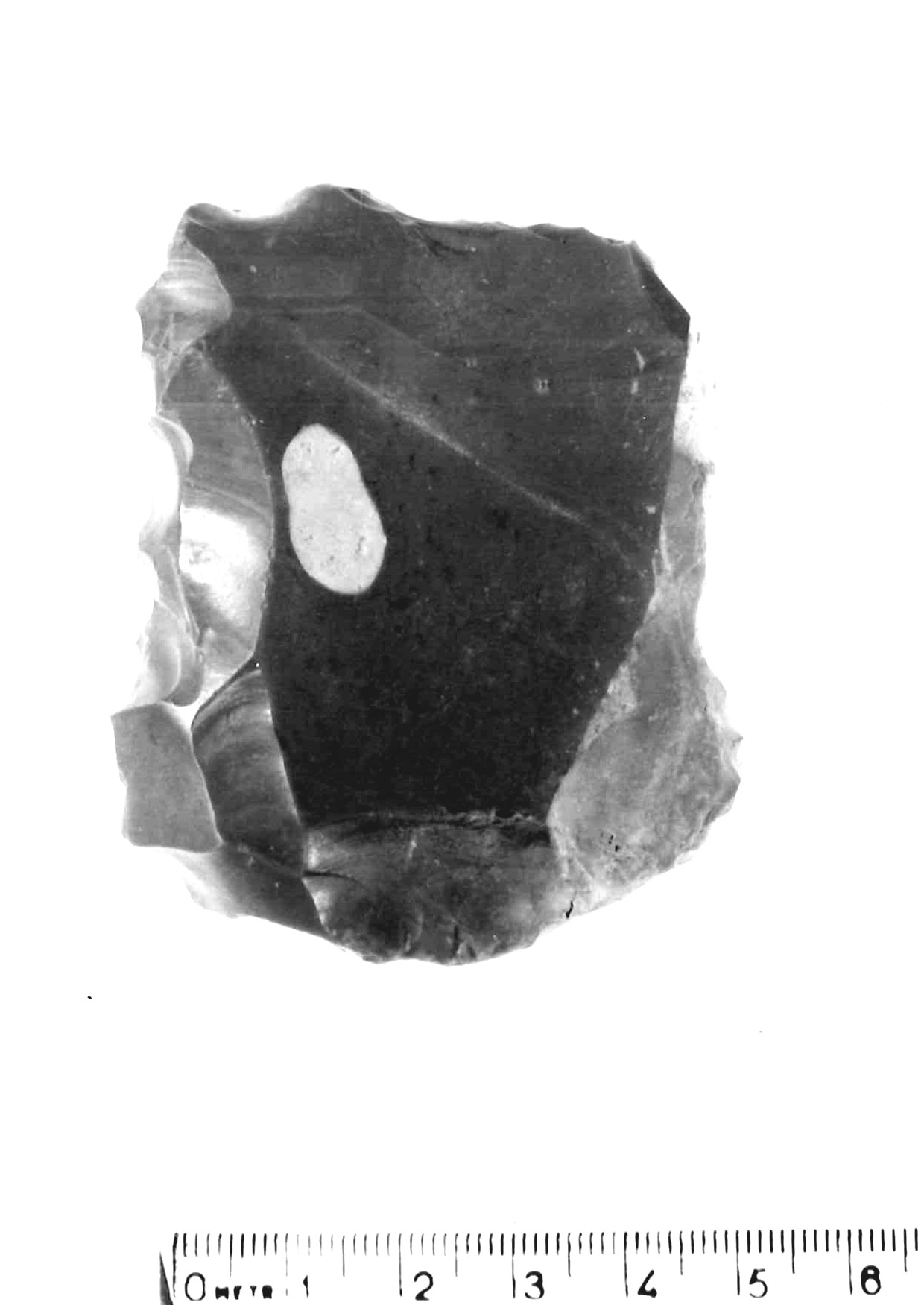 raschiatoio latero-trasversale - musteriano (paleolitico medio)