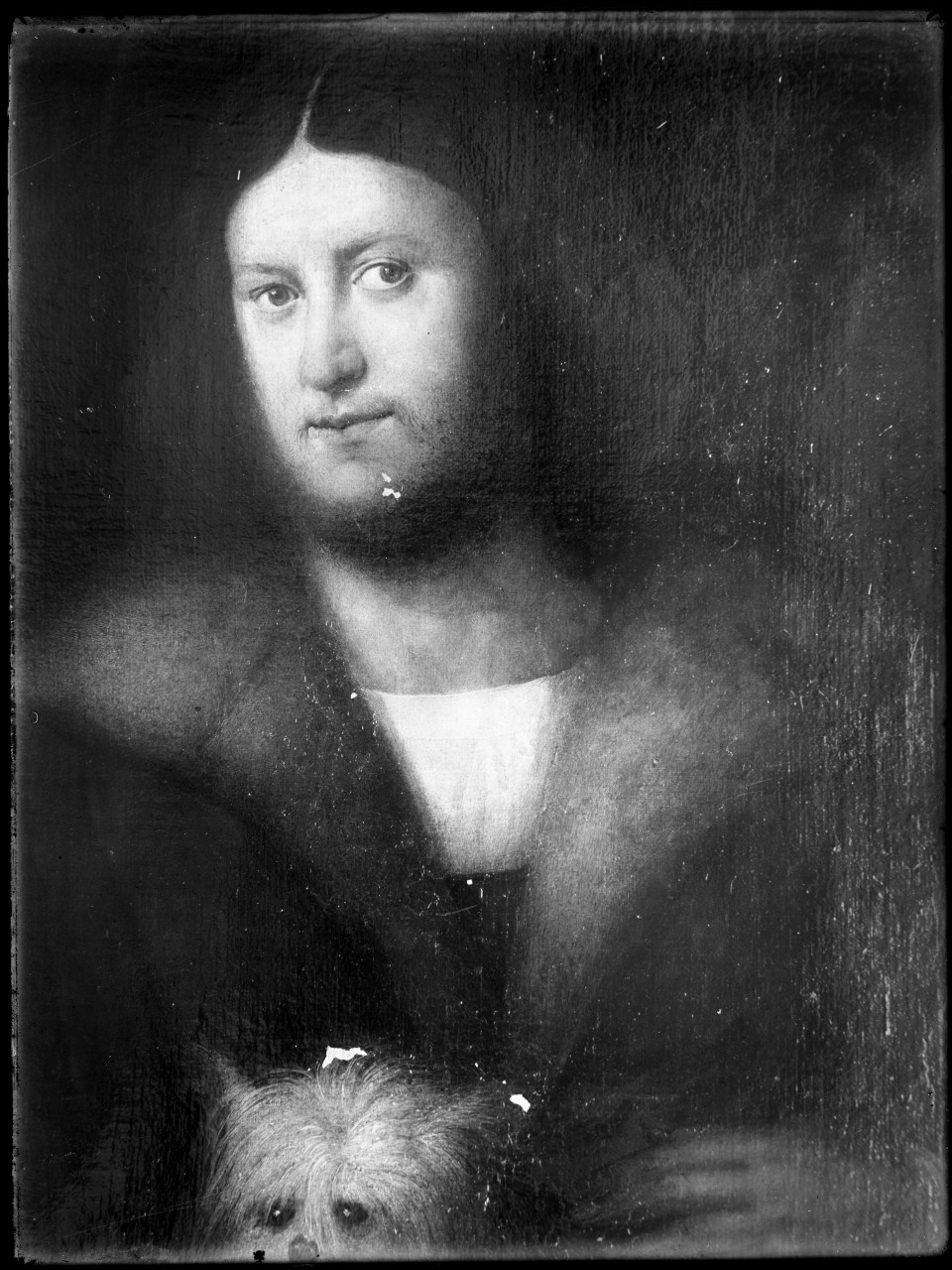 Ritratto d'uomo; particolare; tempera su tela (negativo) di Vermehren, Augusto (prima metà XX)