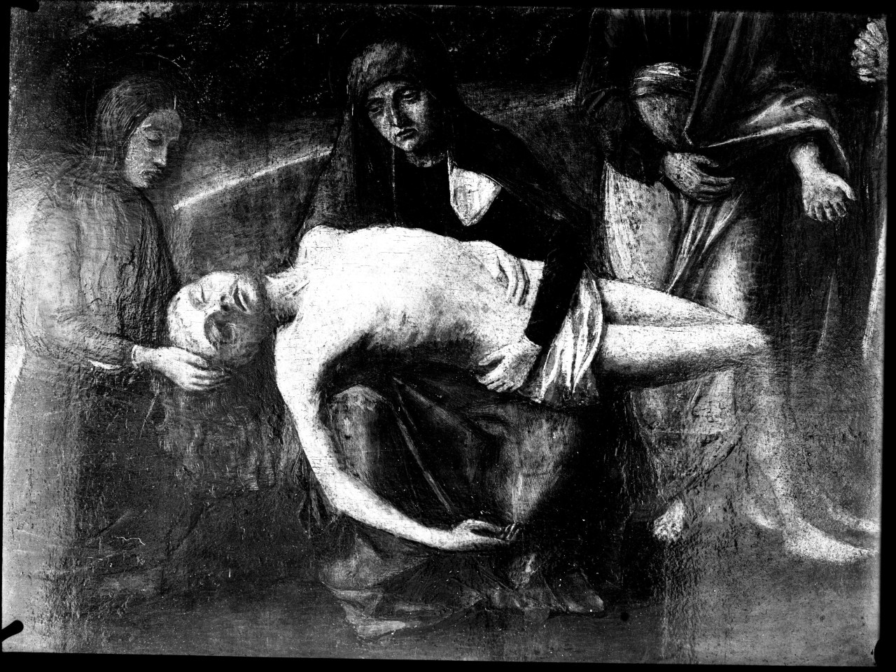 Deposizione dalla Croce; particolare della Madonna che sorregge il corpo; olio su tavola; G. Bellini (negativo) di Bellini Giovanni, Vermehren, Augusto (prima metà XX)