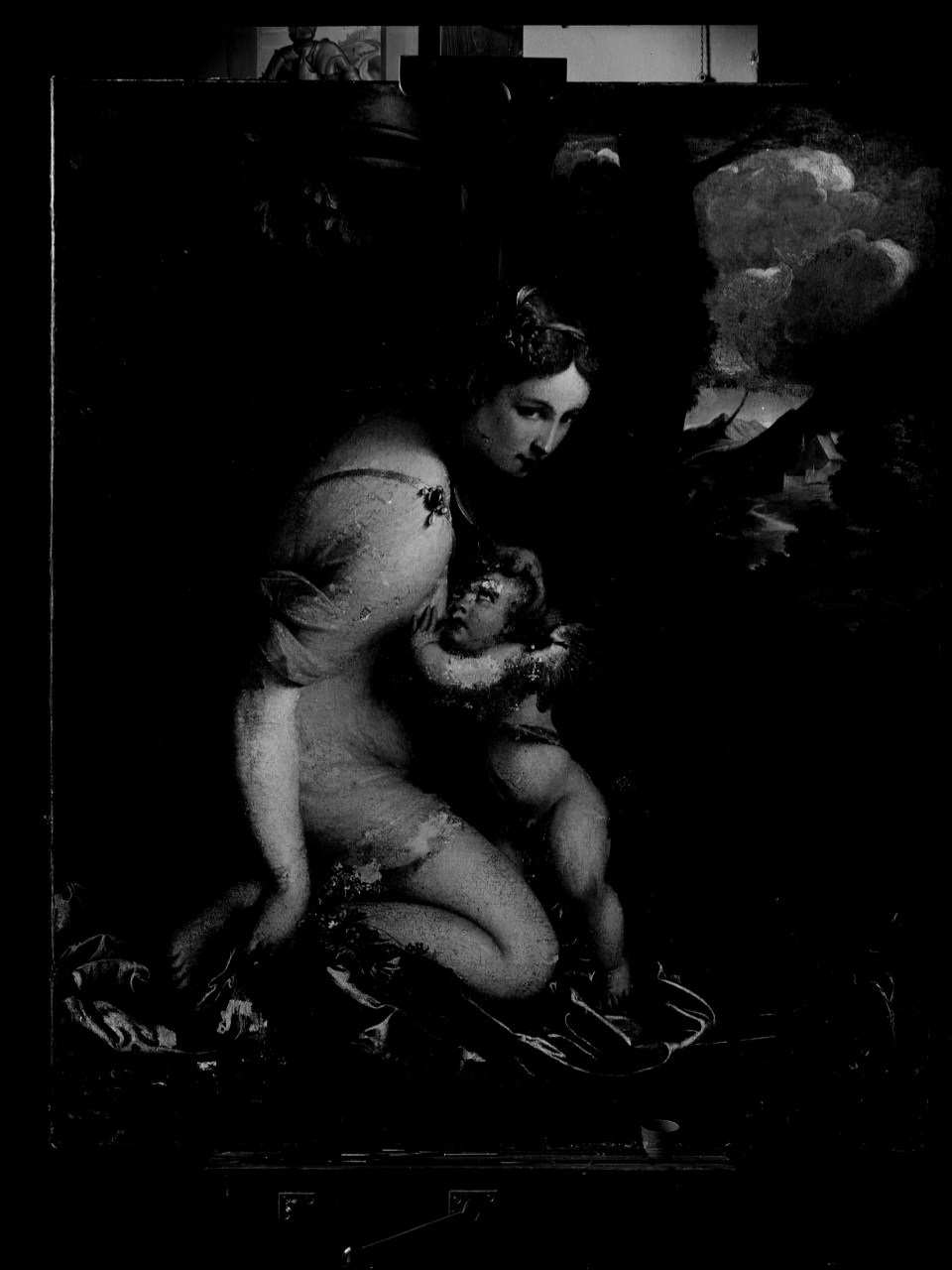 Venere e Amore; tavola (negativo) di Tiziano (attr), Vermehren, Augusto (prima metà XX)