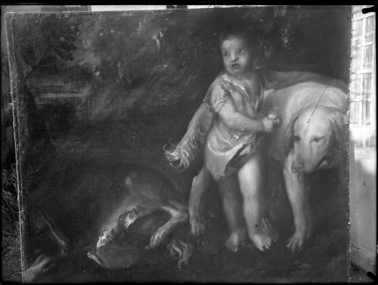 Bambino con cani; olio su tela; Tiziano - proprietà privata (negativo) di Tiziano (attr), Vermehren, Augusto (prima metà XX)