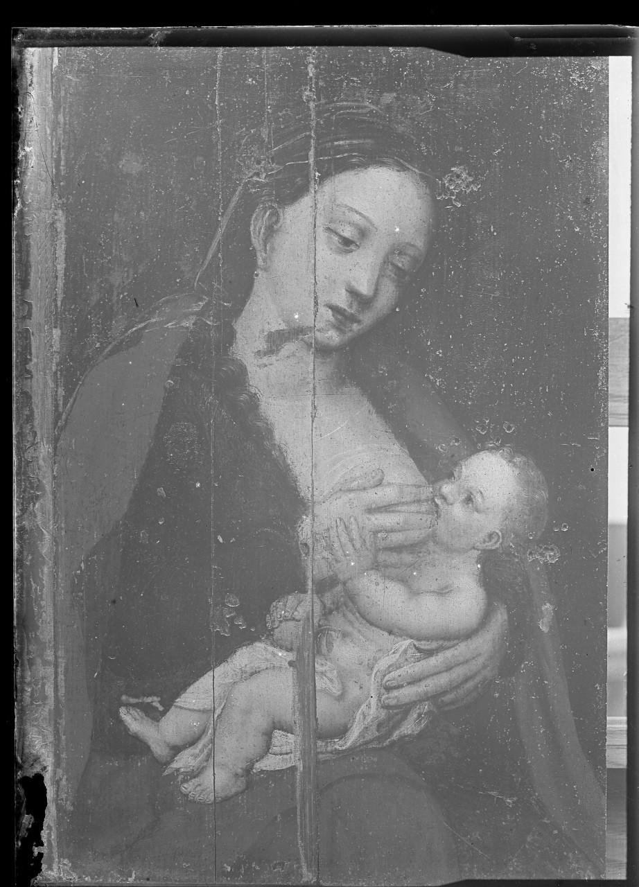 Madonna del Latte; dipinto su tavola (negativo) di Vermehren, Augusto - ambito fiorentino (prima metà XX)