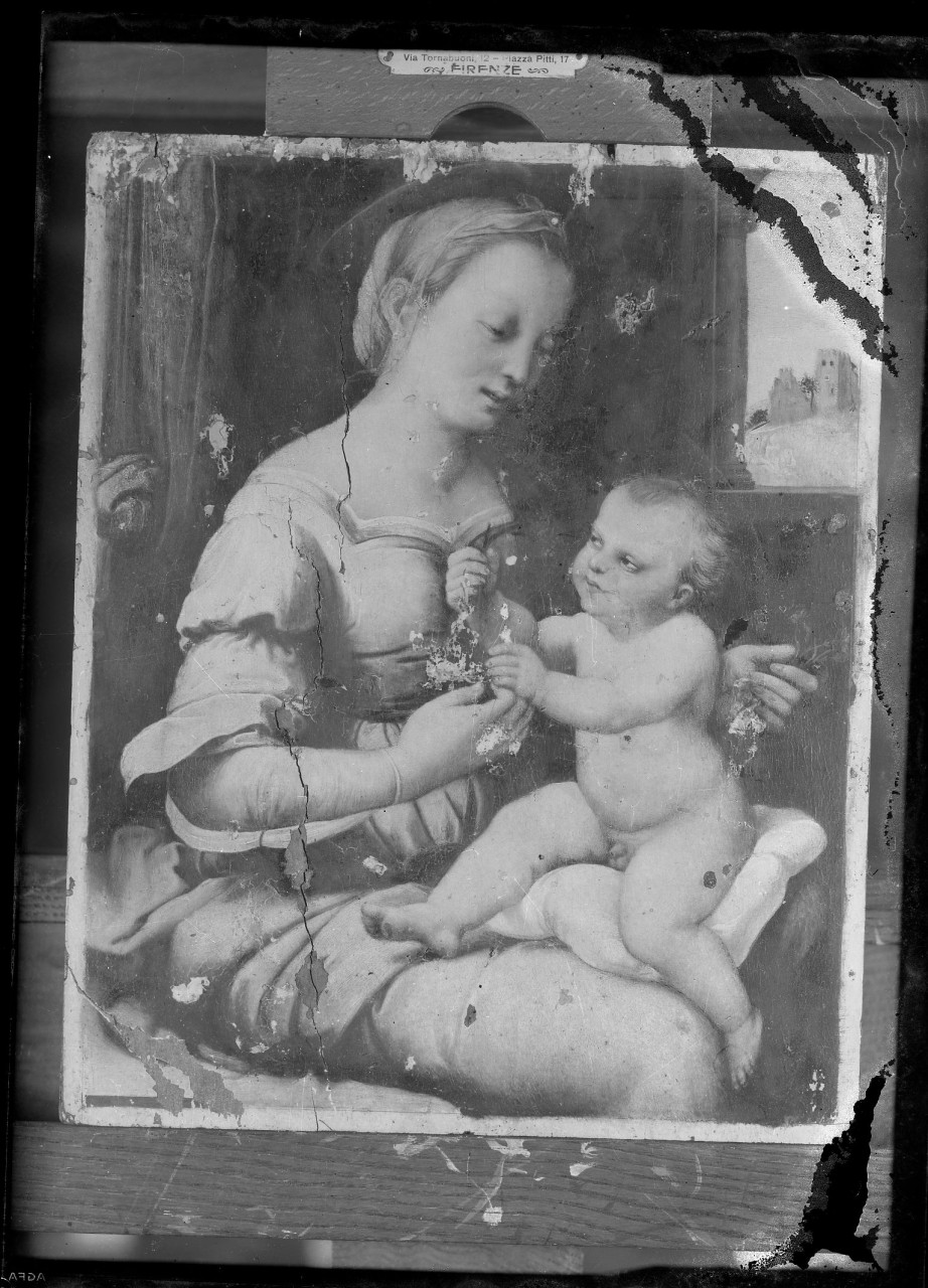 Madonna con Bambino (negativo) di Raffaello, Vermehren, Augusto (prima metà XX)