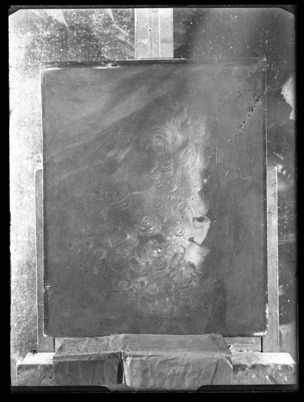 Testa di Vecchio; olio su tavola; P.P. Rubens (negativo) di Rubens Pieter Paul, Vermehren, Augusto (seconda metà XX)