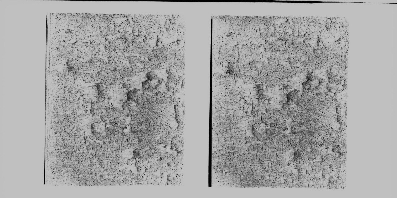 Ingrandimento di dettaglio di pellicola pittorica con sollevamenti a luce radente (negativo) di Vermehren, Augusto (XX)