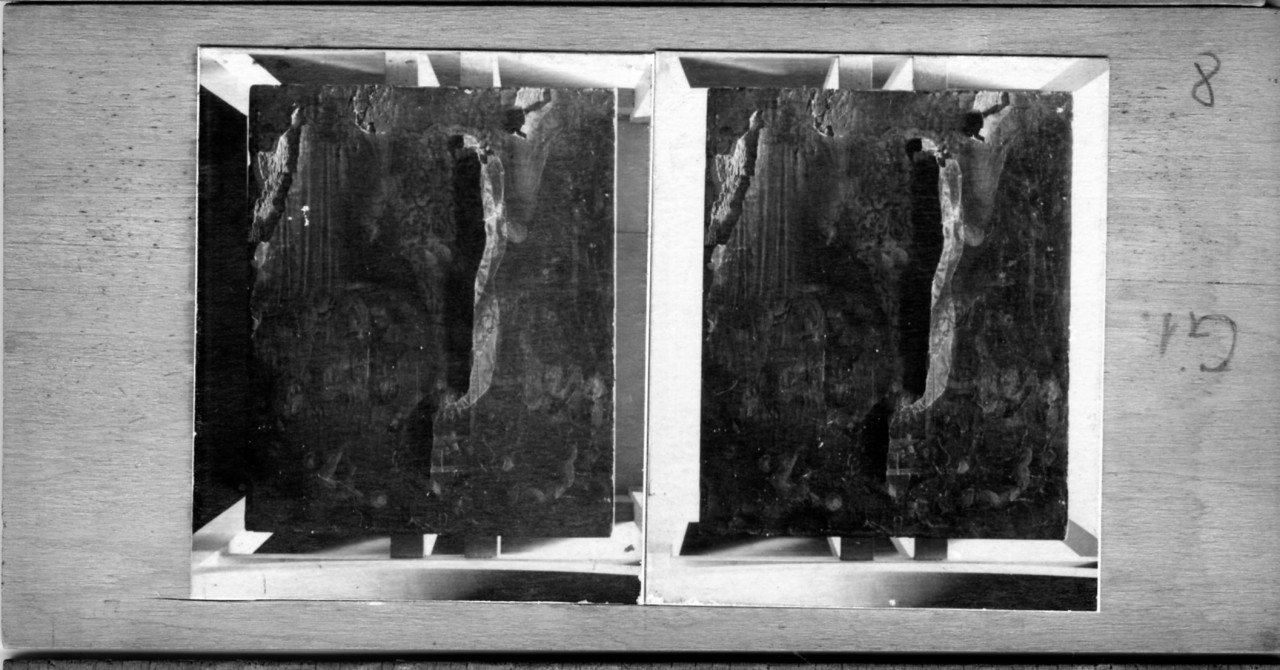 Madonna in Trono con santi francescani; riprese a luce radente (positivo) di Vermehren, Augusto (XX)