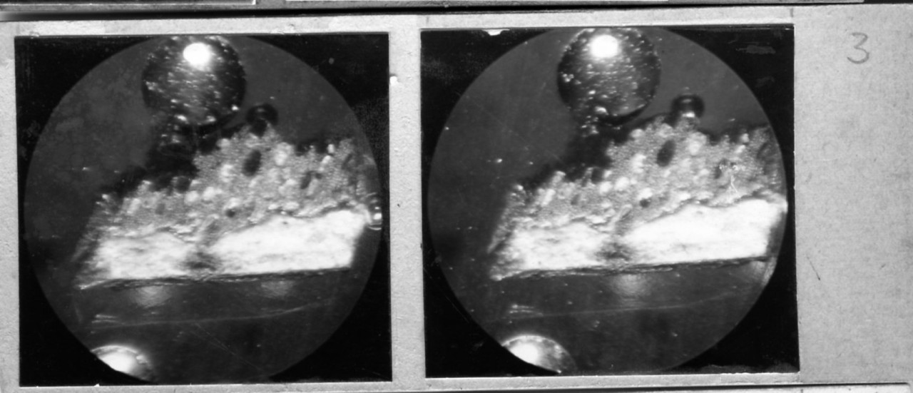 Ingrandimento al microscopio di dettagli della pellicola pittorica (positivo) di Vermehren, Augusto (XX)
