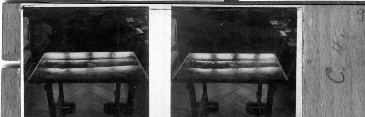 Ripresa di dipinto poggiato su un piano per evidenziare l'imbarcamento delle assi (positivo) di Vermehren, Augusto (XX)