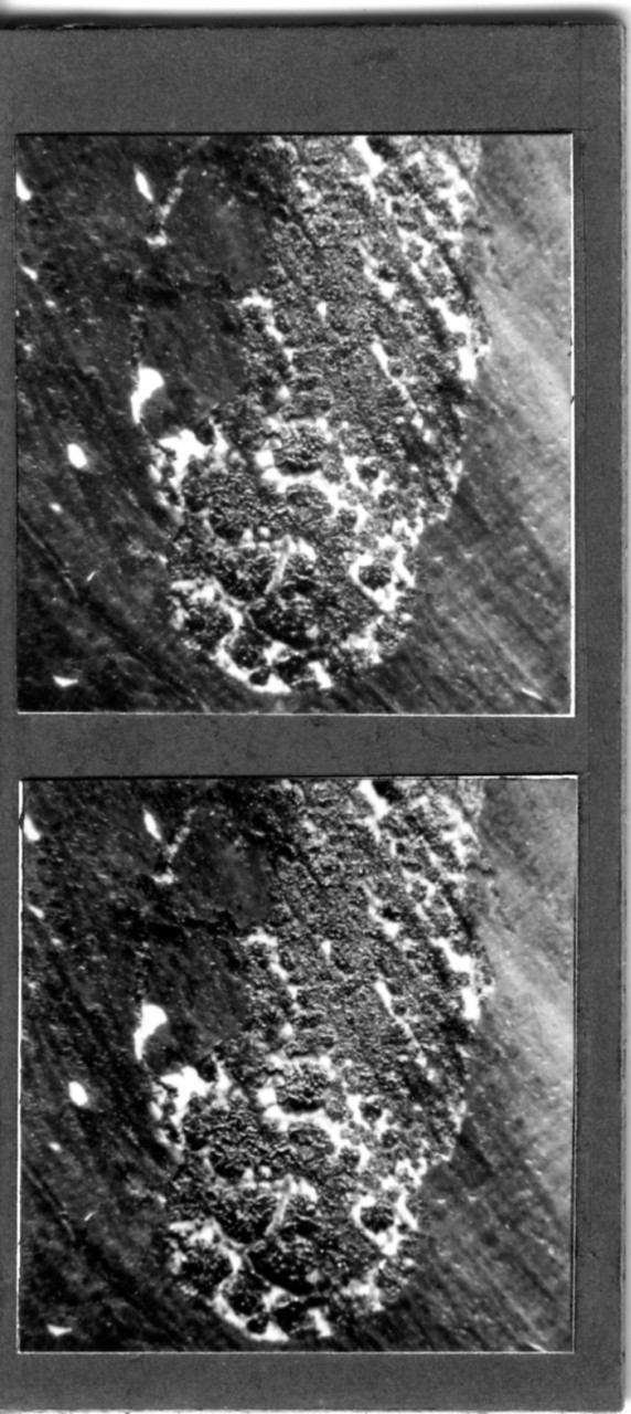 Ingrandimenti al microscopio di dettagli dei danni della pellicola pittorica (positivo) di Vermehren, Augusto (XX)