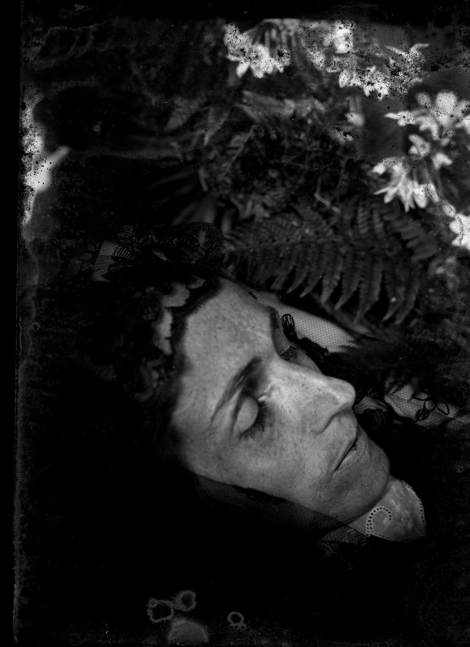 Primo piano di Margherita Papini sul letto di morte circondata da fiori (negativo) di Vermehren, Otto (inizio XX)