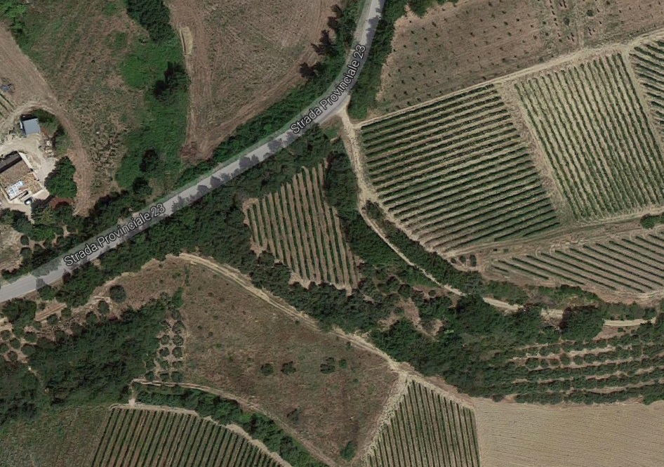 area ad uso funerario, necropoli - Cossignano (AP)  (Eta' del ferro)