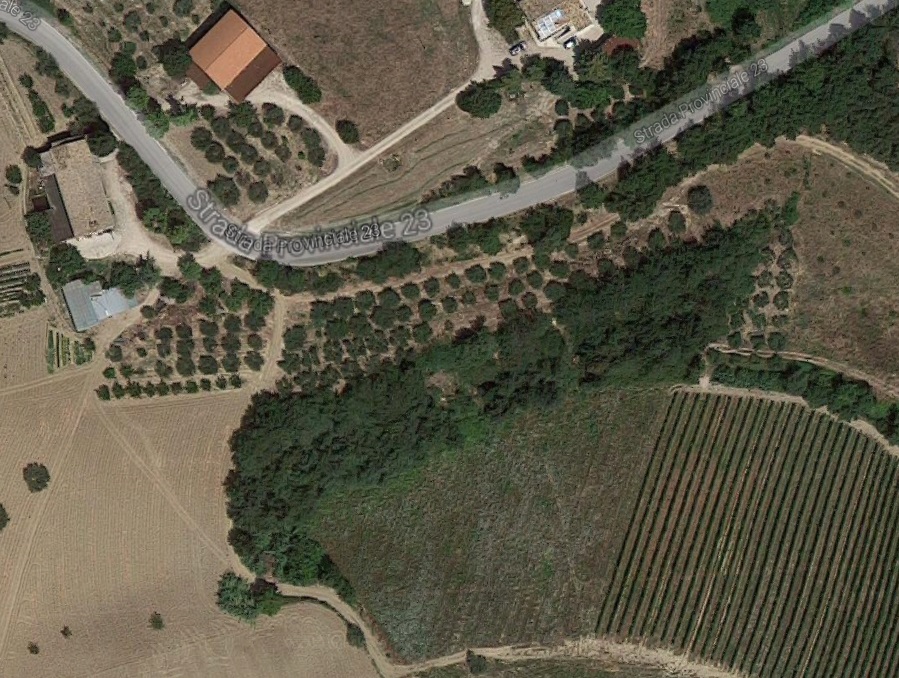 area ad uso funerario, necropoli - Cossignano (AP)  (Eta' del ferro)