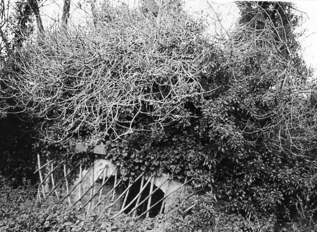 Ghiacciaia di Villa Pozzolini (ghiacciaia) - Vaglia (FI)  (XVIII, metà)
