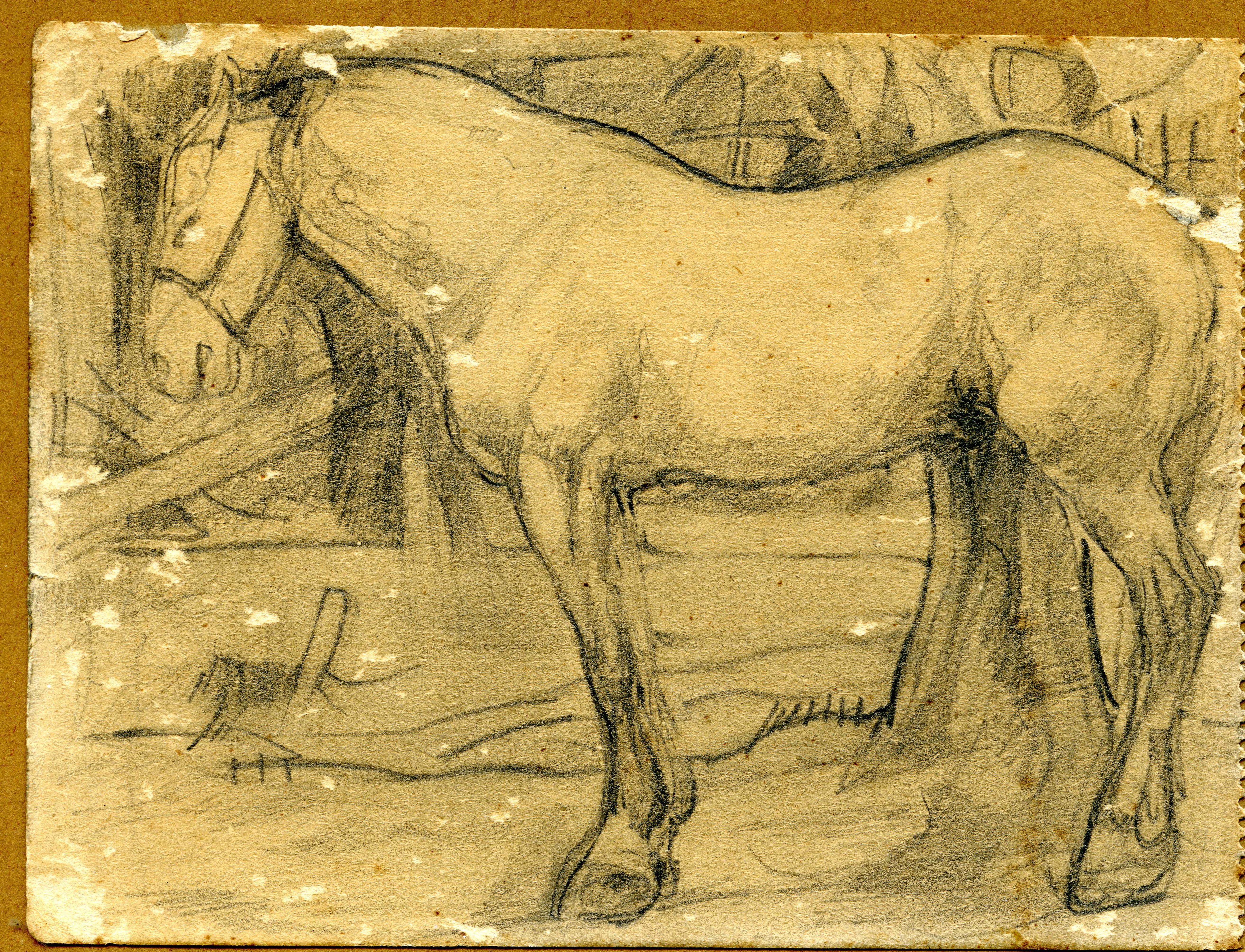 Cavallo (disegno) di Camona Giuseppe - ambito Italia settentrionale (primo quarto XX)