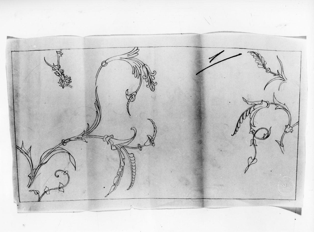 motivi decorativi floreali (disegno) di Ponti Giovanni (sec. XX)