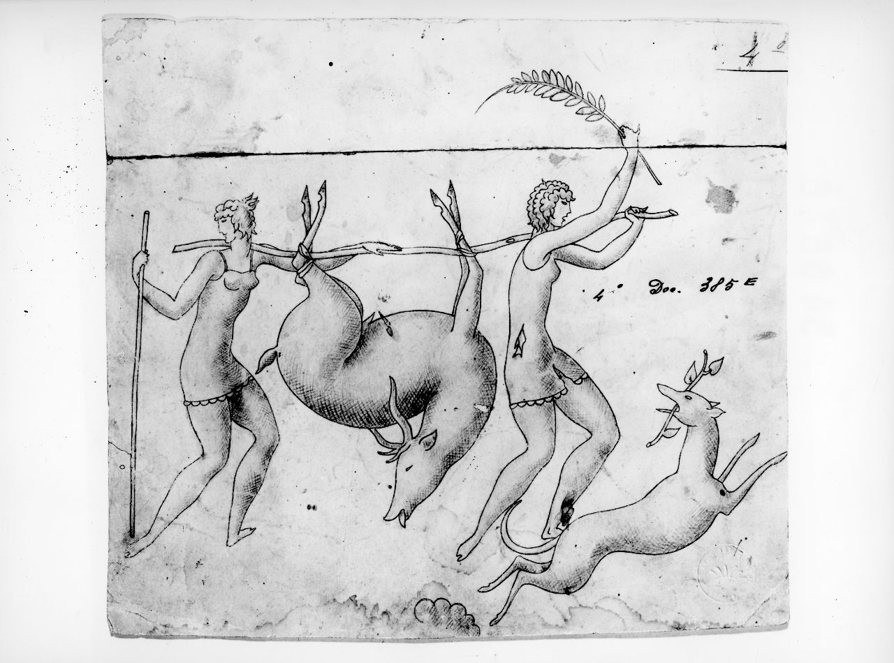 La Venatoria, amazzoni portano un daino cacciato (disegno) di Ponti Giovanni (sec. XX)