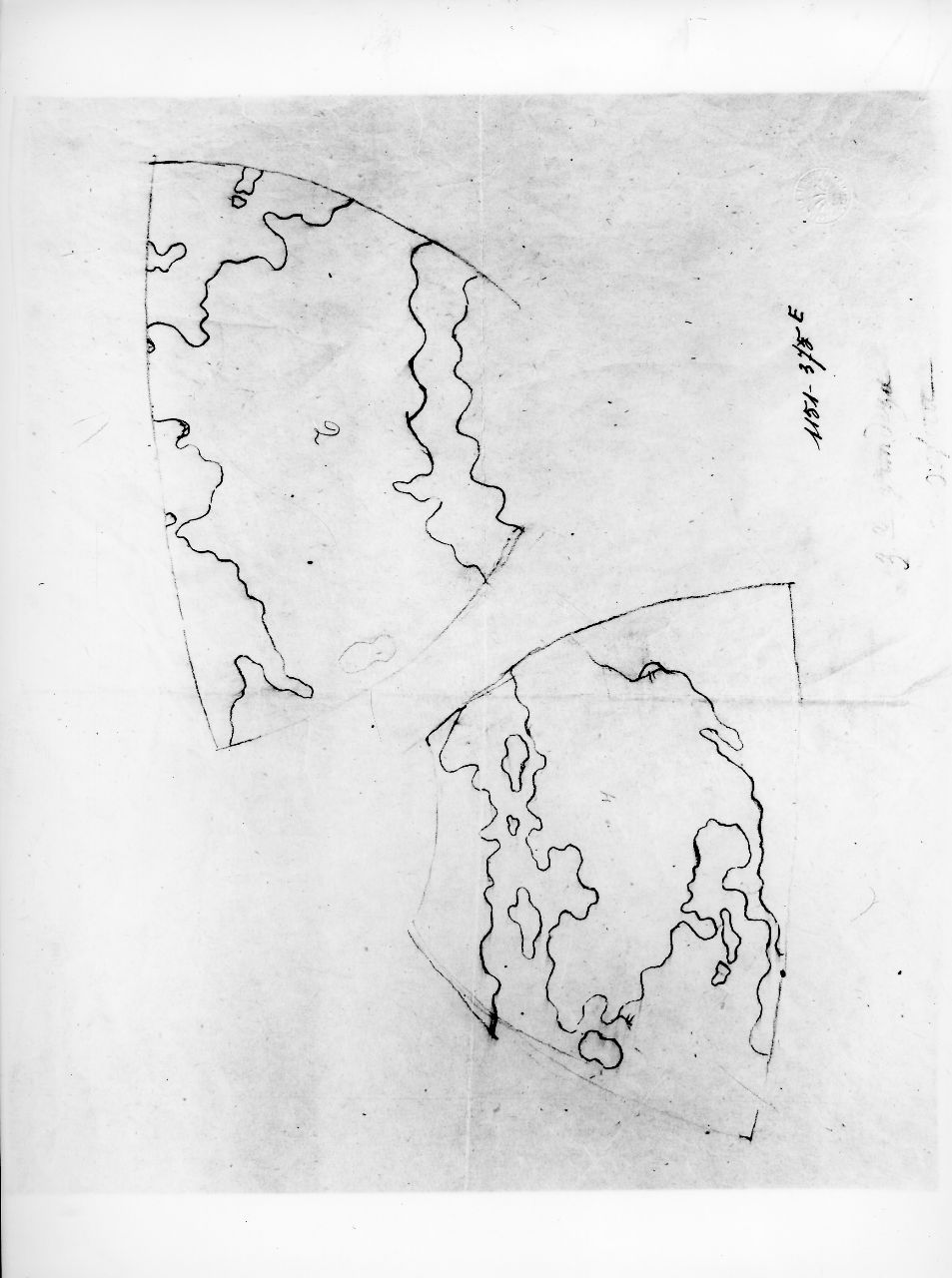 sviluppi lineari di sezione di vaso con carte geografiche (disegno) di Ponti Giovanni (sec. XX)