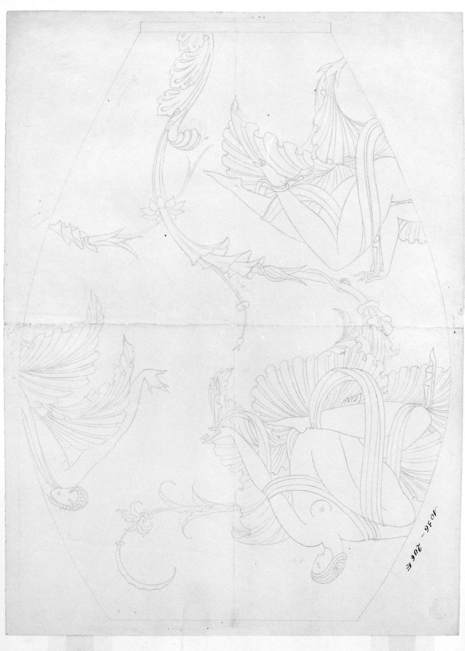 figure femminili nude su fiori (disegno preparatorio) di Ponti Giovanni (sec. XX)