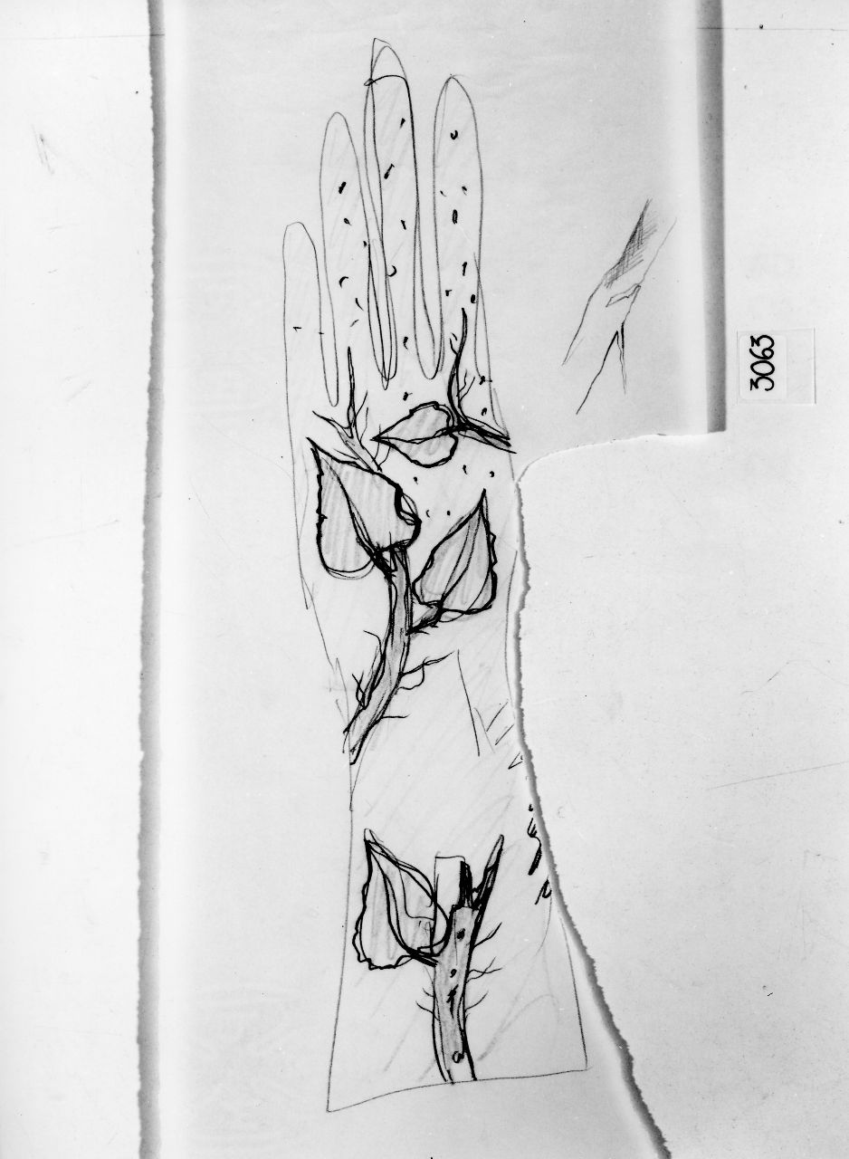 mano con tralcio (disegno) di Ponti Giovanni (attribuito) (sec. XX)