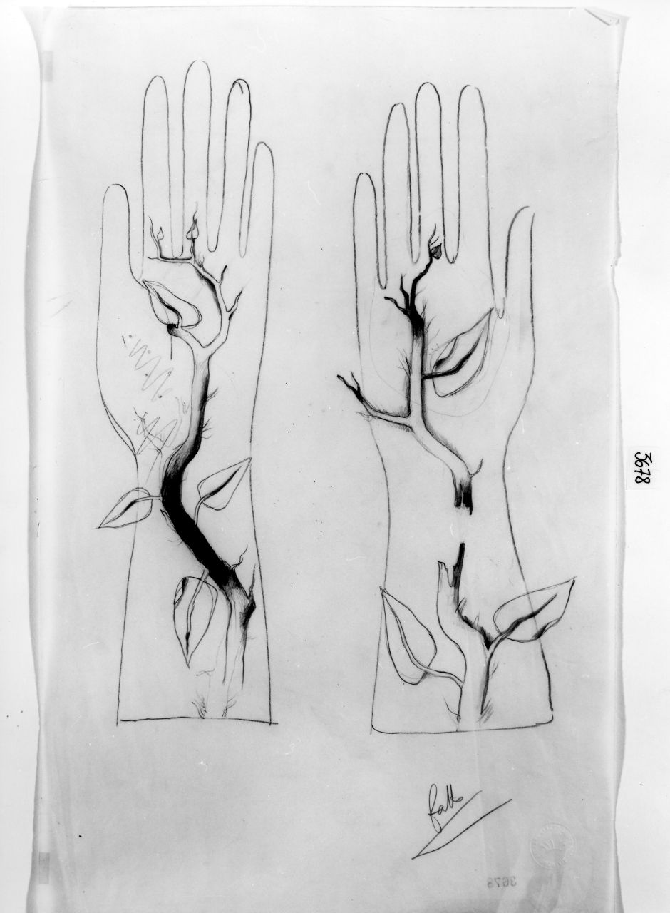 mano con tralcio (disegno) di Ponti Giovanni (attribuito) (sec. XX)