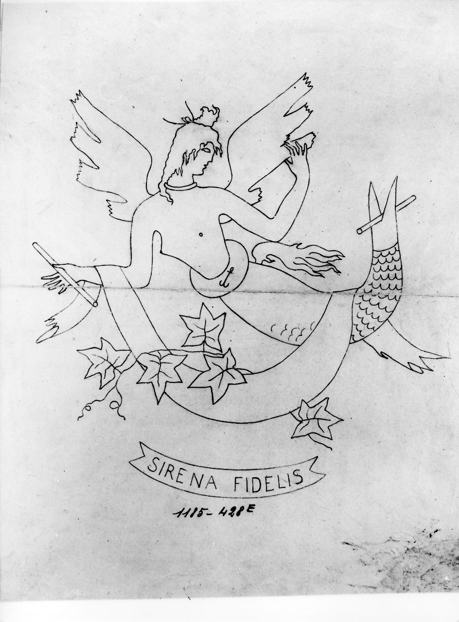 Sirena fidelis, sirena volante (disegno) di Ponti Giovanni (attribuito) (sec. XX)