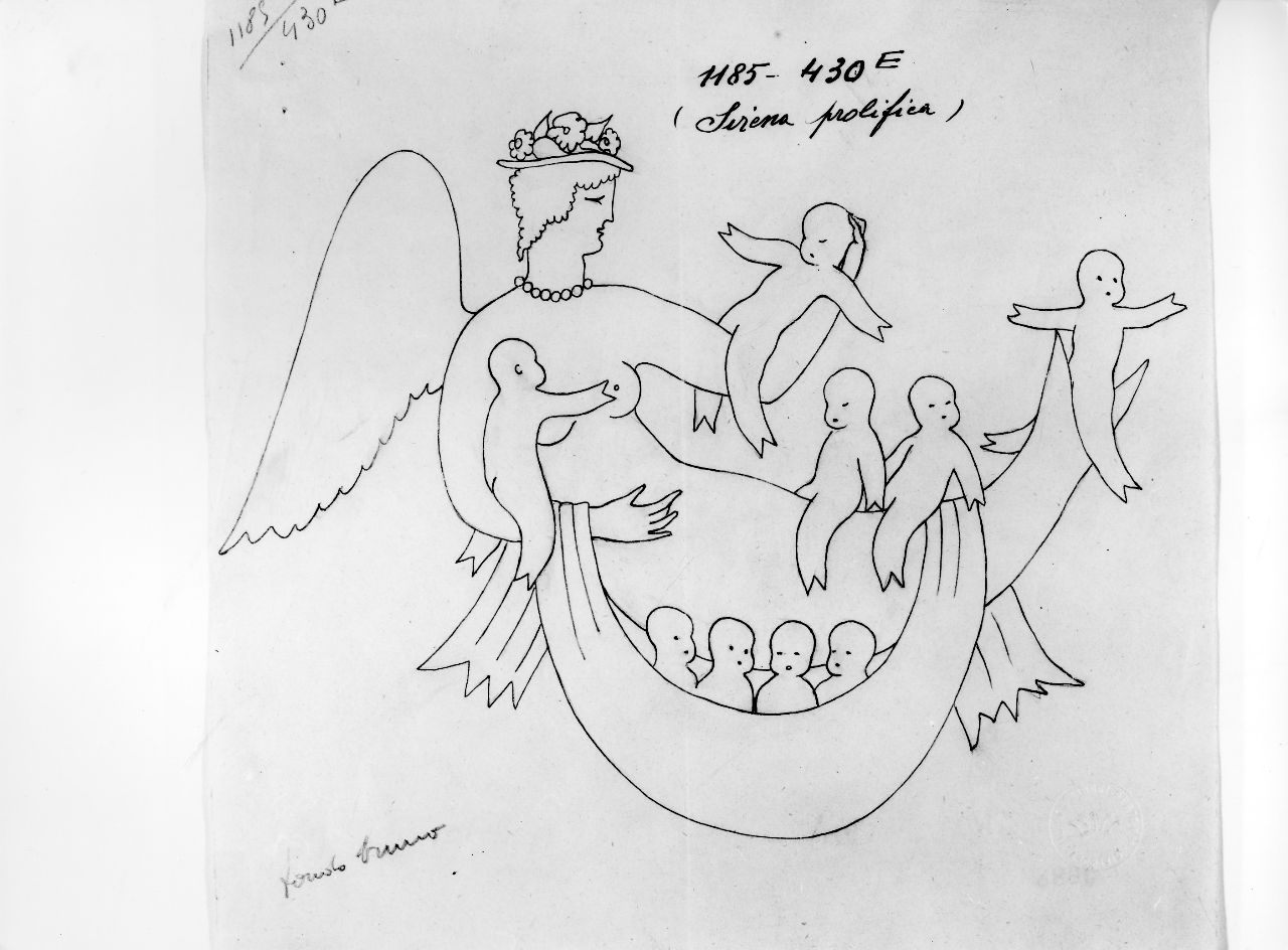 Sirena prolifica, sirena alata con sirenetti (disegno) di Ponti Giovanni (attribuito) (sec. XX)