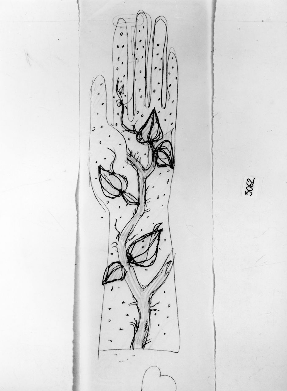 mano con tralcio (disegno) di Ponti Giovanni (attribuito) (sec. XX)